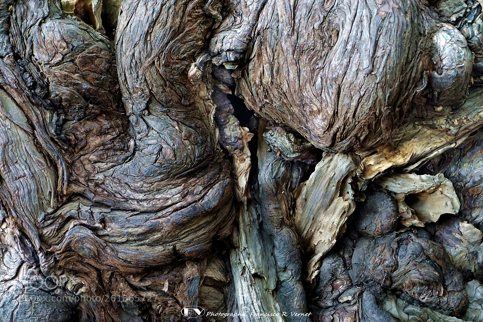 Sony a6000 sample photo. Wooden... ing! photography