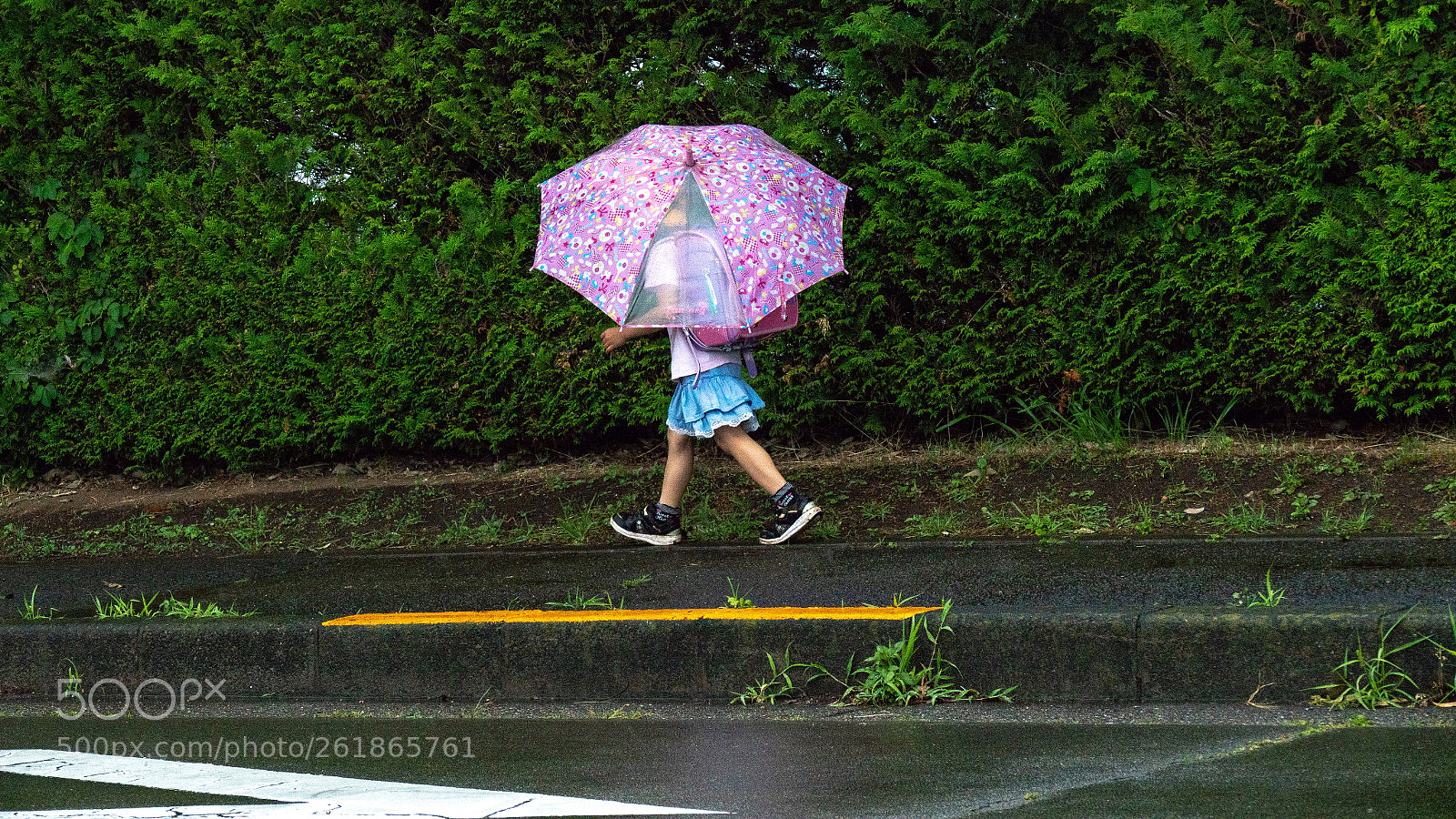 Panasonic Lumix DMC-FZ1000 sample photo. 梅雨入り photography