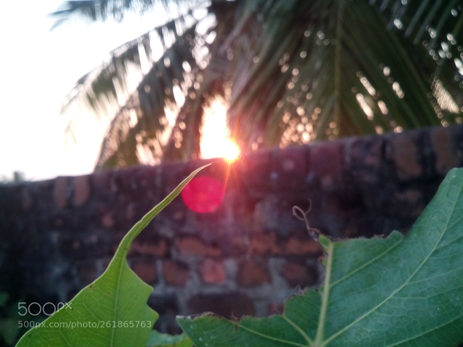 Micromax Canvas A1 sample photo. Nature photography