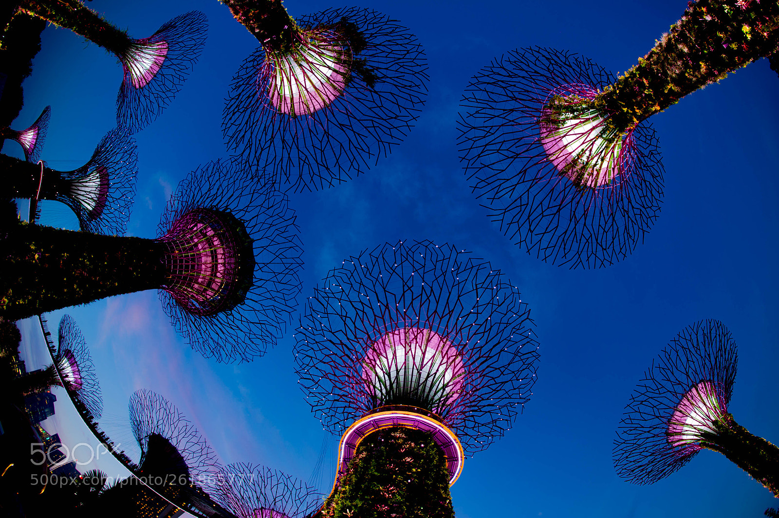 Nikon D3S sample photo. Gardens  by the bay photography
