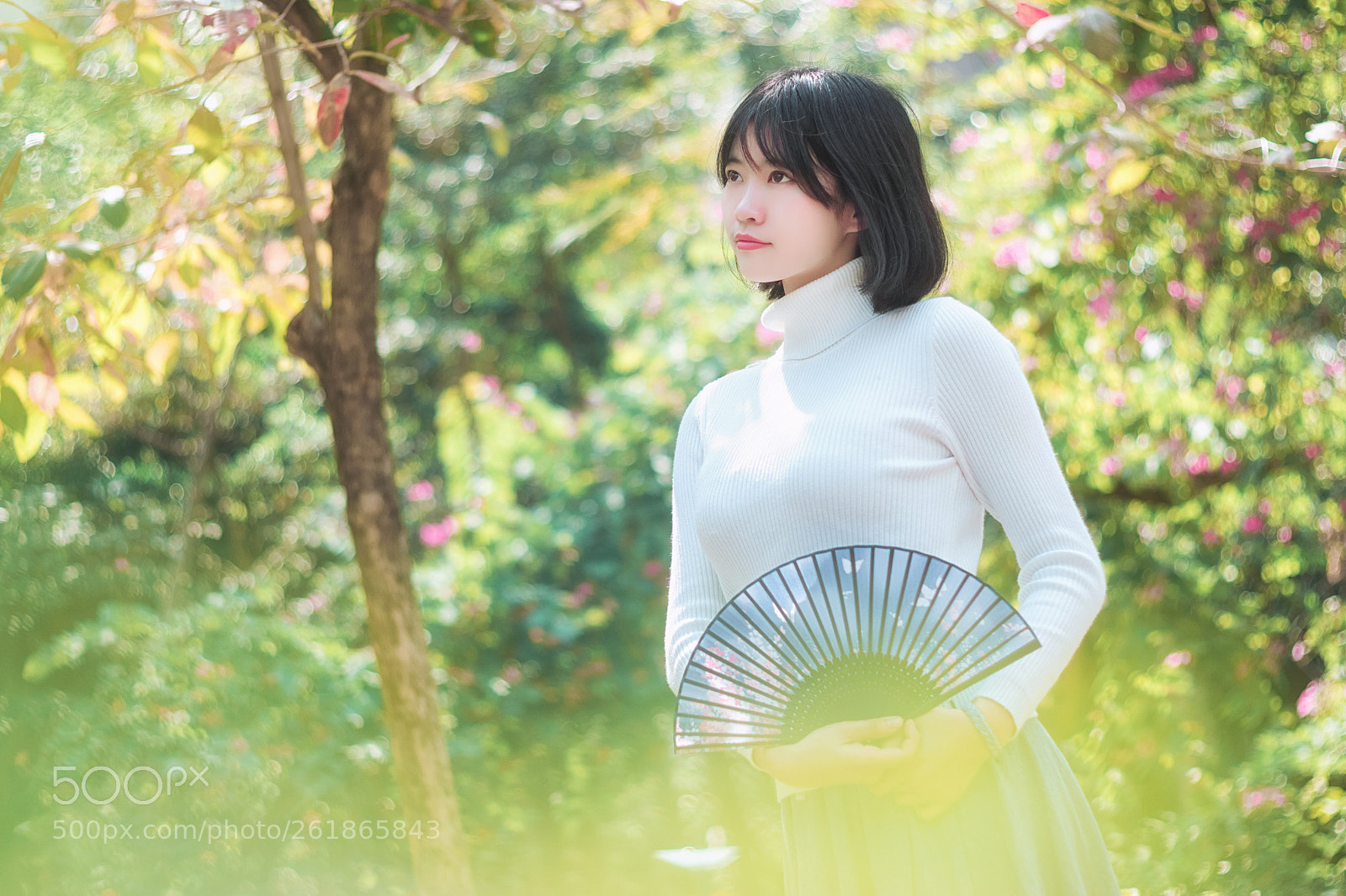 Canon EOS 80D sample photo. Untitled photography