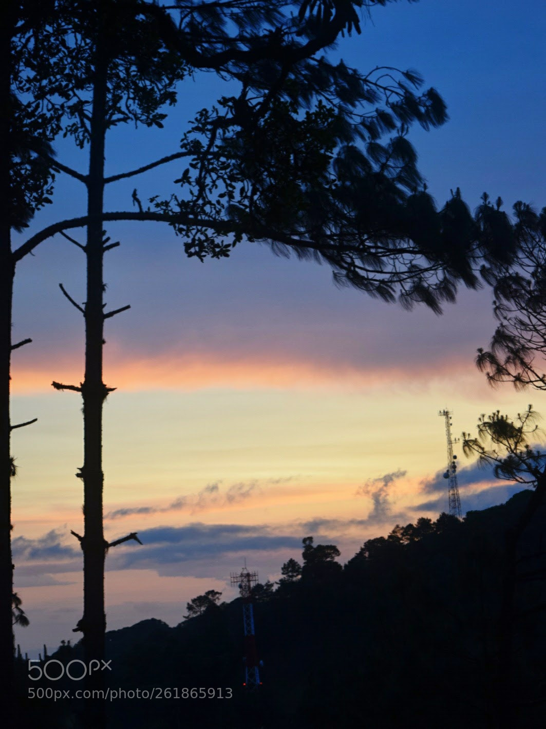 Nikon D3300 sample photo. A night with you photography