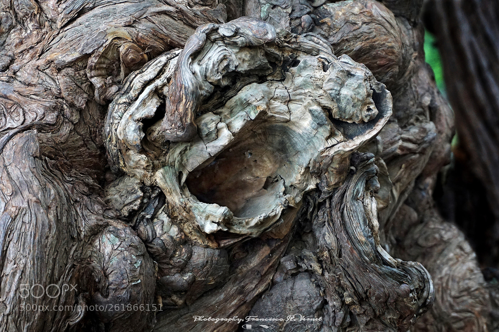 Sony a6000 sample photo. Wooden... ing! photography