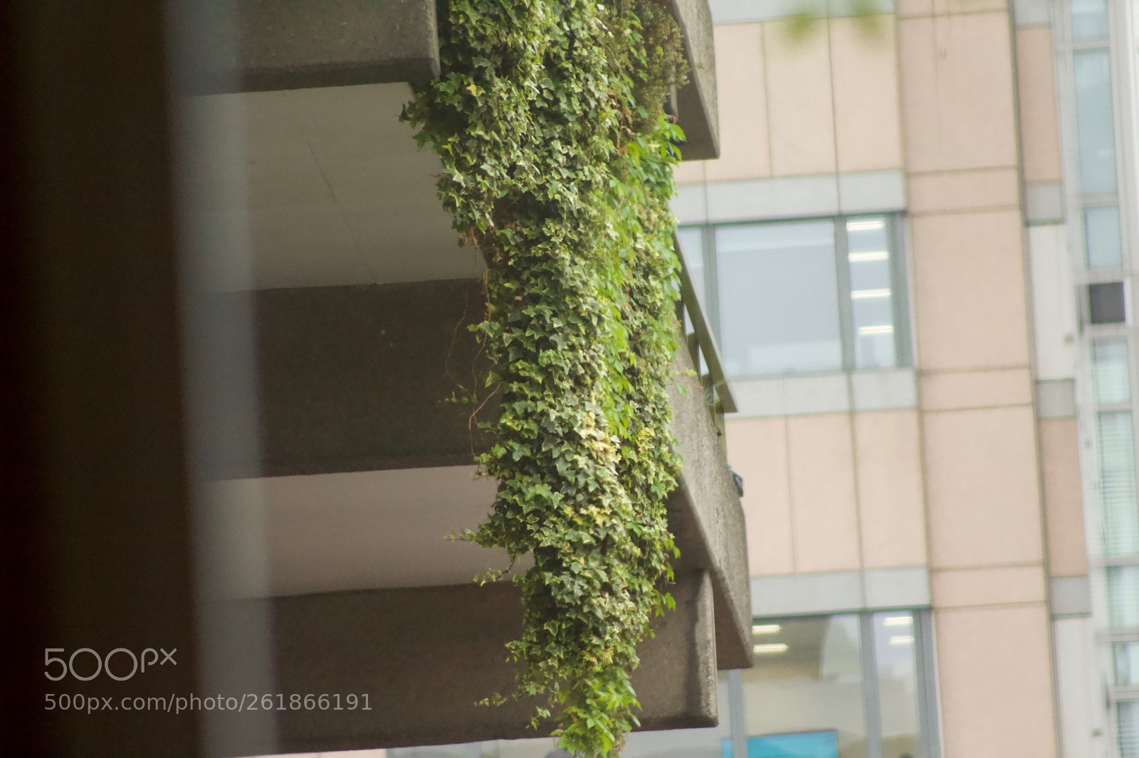 Canon EOS 700D (EOS Rebel T5i / EOS Kiss X7i) sample photo. Untitled photography