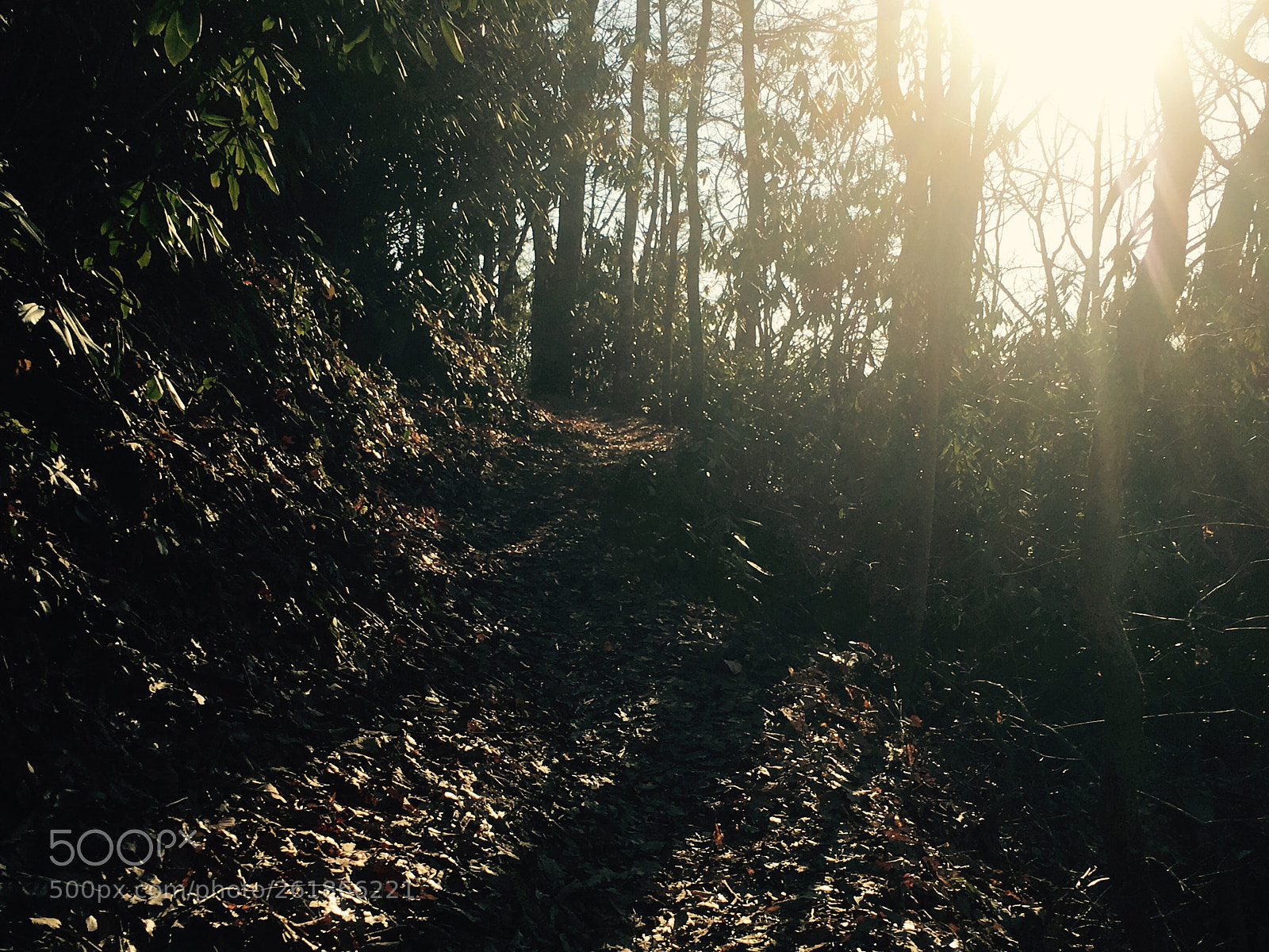 Apple iPhone 6s sample photo. Mountain shade photography