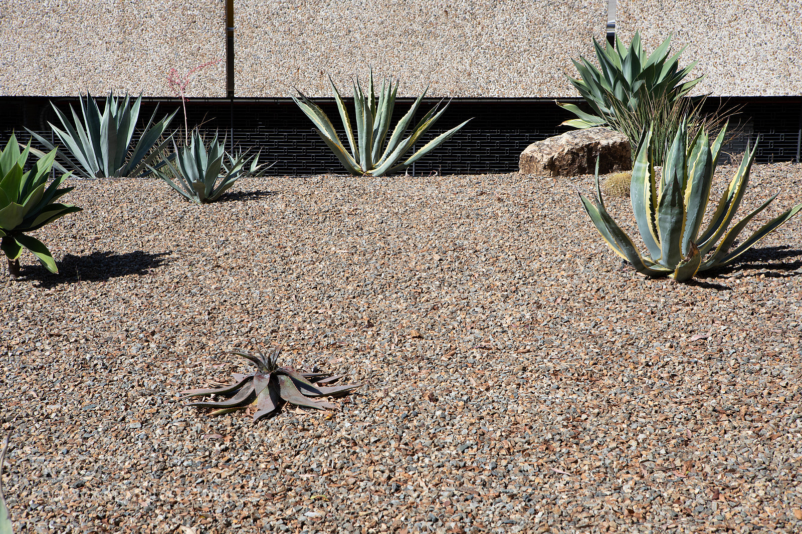 Canon EOS 5D Mark IV sample photo. Landscaping dwp hq dtla photography