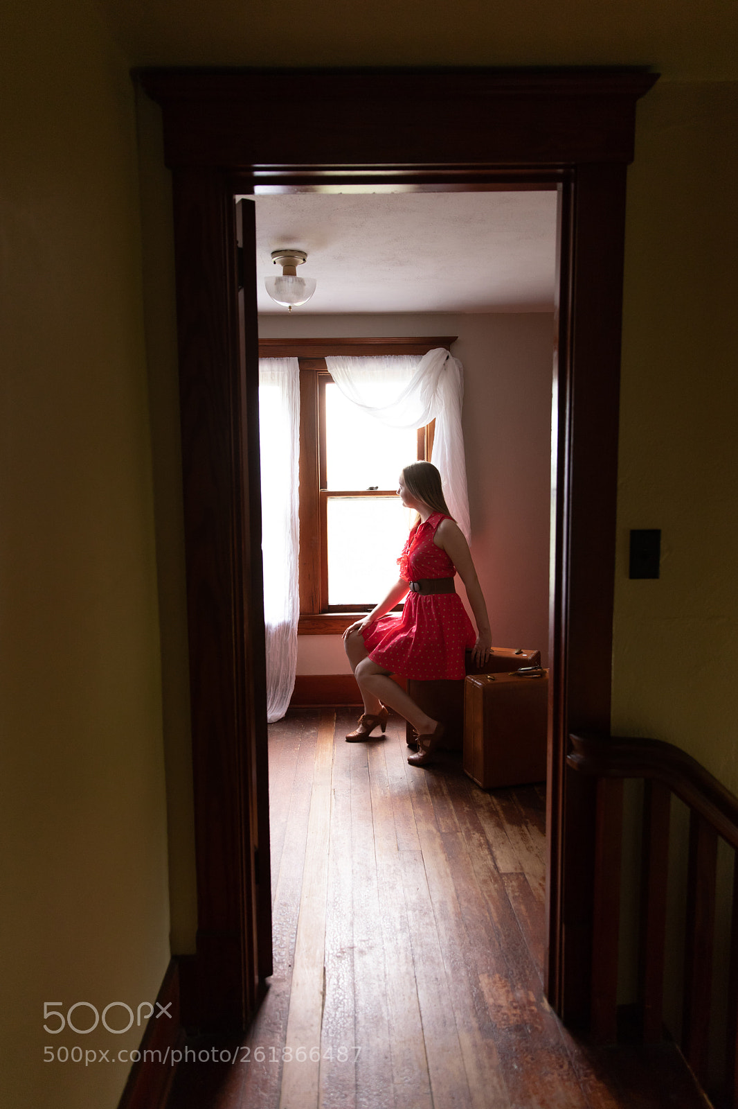 Canon EOS 6D Mark II sample photo. Window perch photography