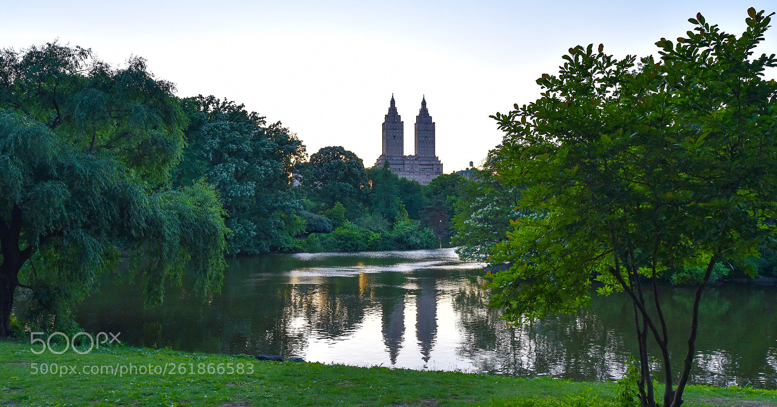 Nikon D750 sample photo. Late in the afternoon photography