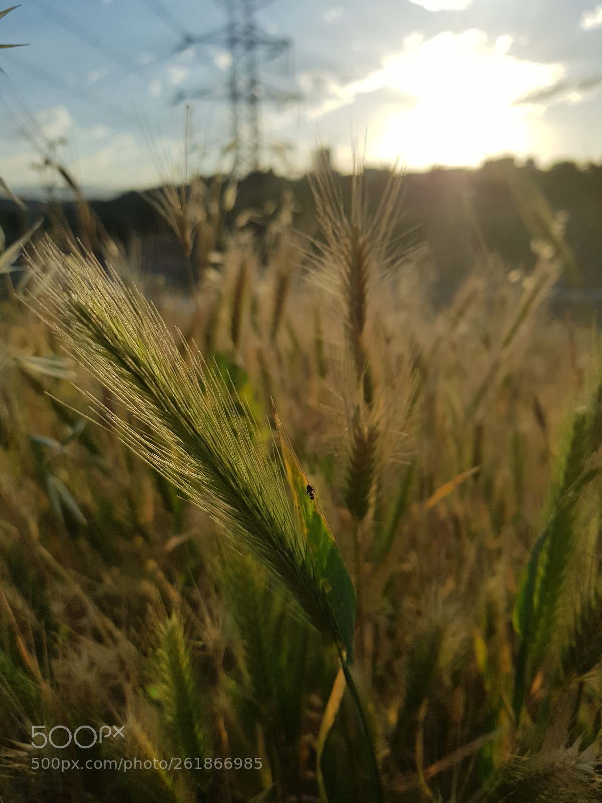 Samsung Galaxy S8+ sample photo. With s8+ photography