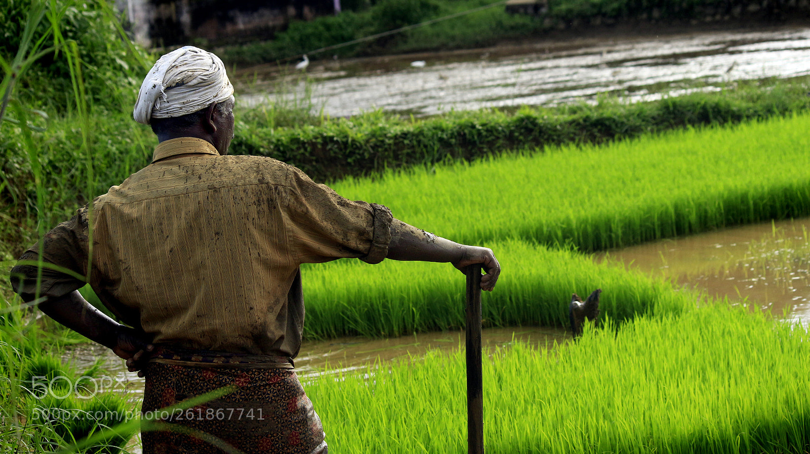 Canon EOS 700D (EOS Rebel T5i / EOS Kiss X7i) sample photo. Farmer looking photography