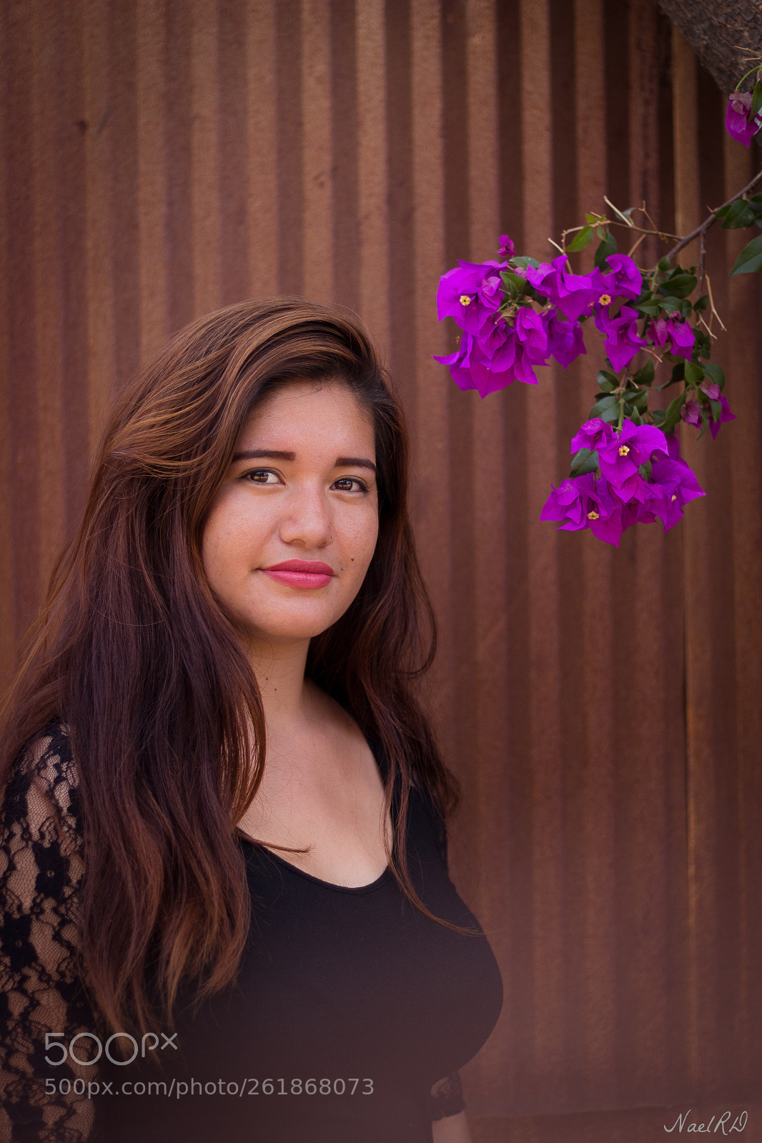 Canon EOS 700D (EOS Rebel T5i / EOS Kiss X7i) sample photo. Rosy photography
