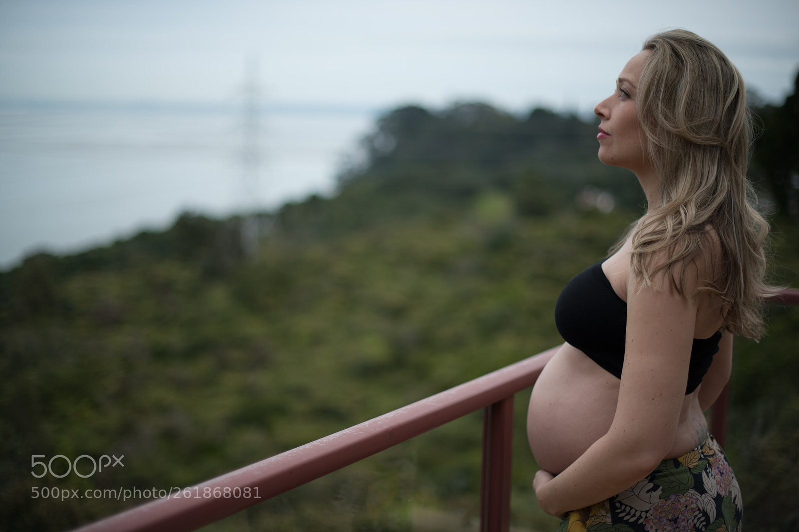 Nikon D850 sample photo. D photography