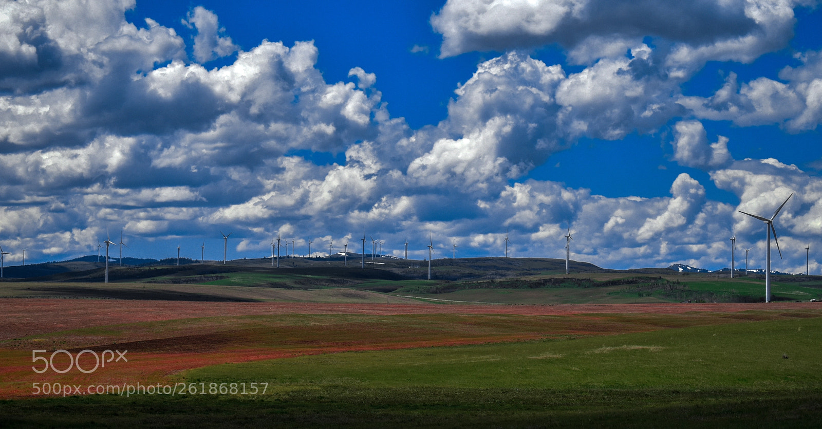 Nikon D5500 sample photo. Wind farm photography