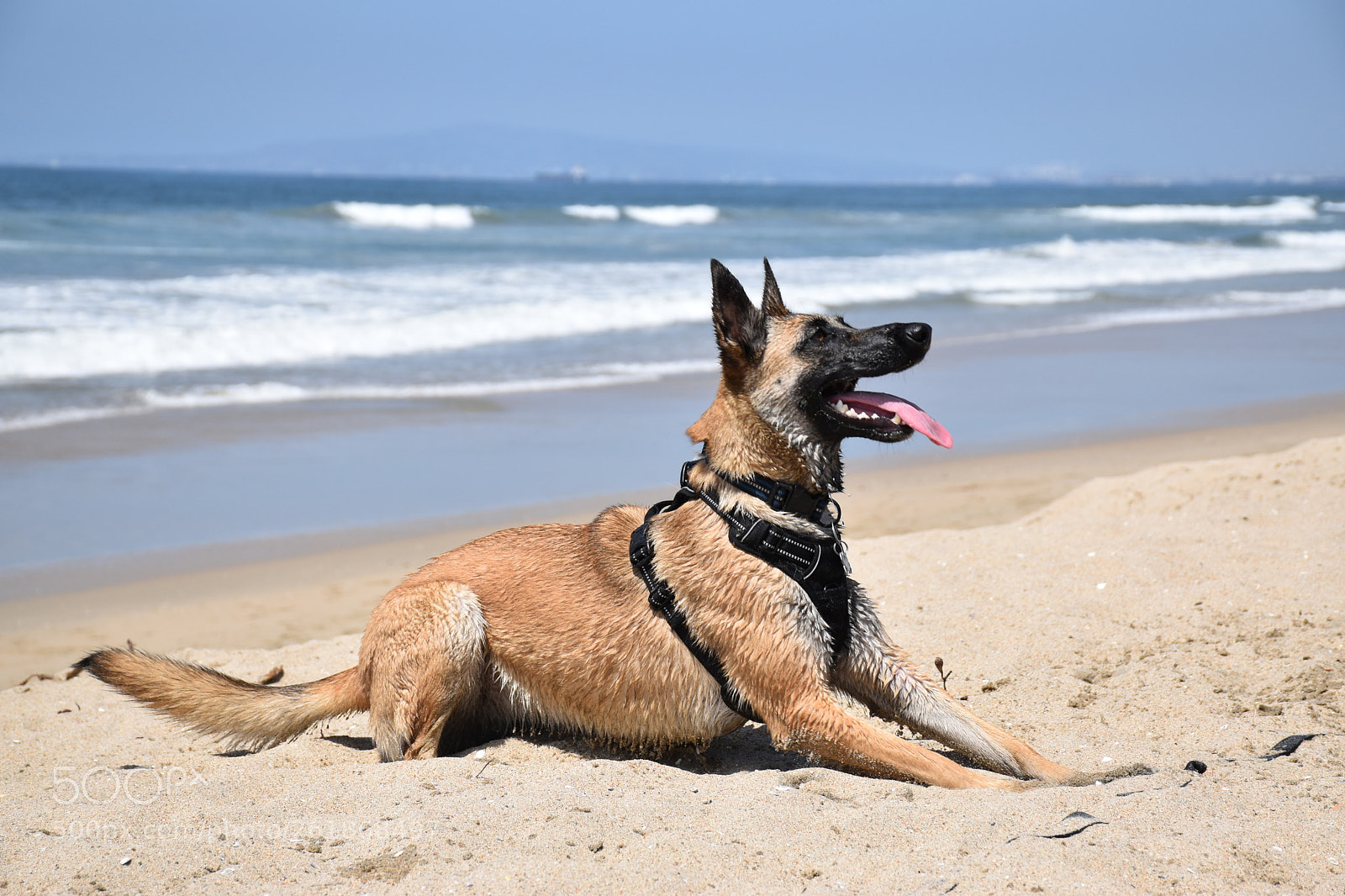 Nikon D5500 sample photo. Day at the beach photography
