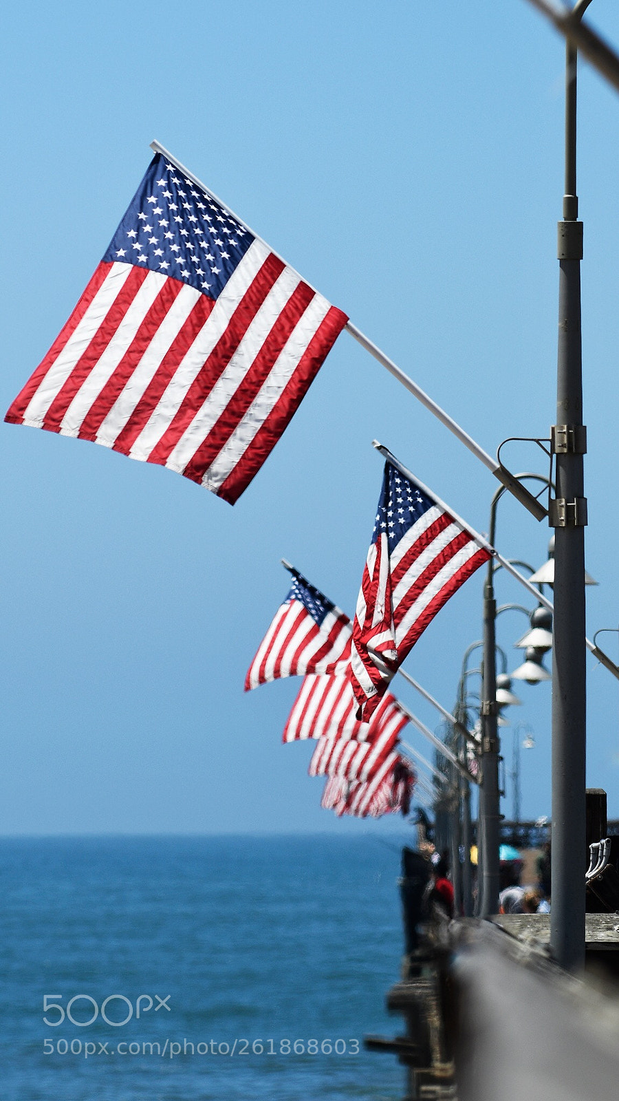 Nikon D500 sample photo. Ventura pier
ventura, ca photography