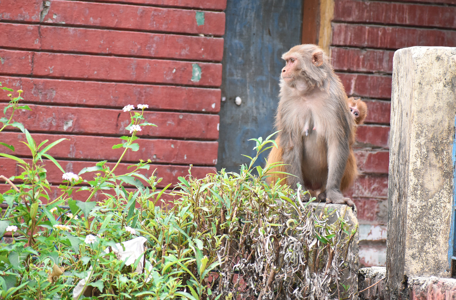 Nikon D5600 sample photo. Safest place on earth photography