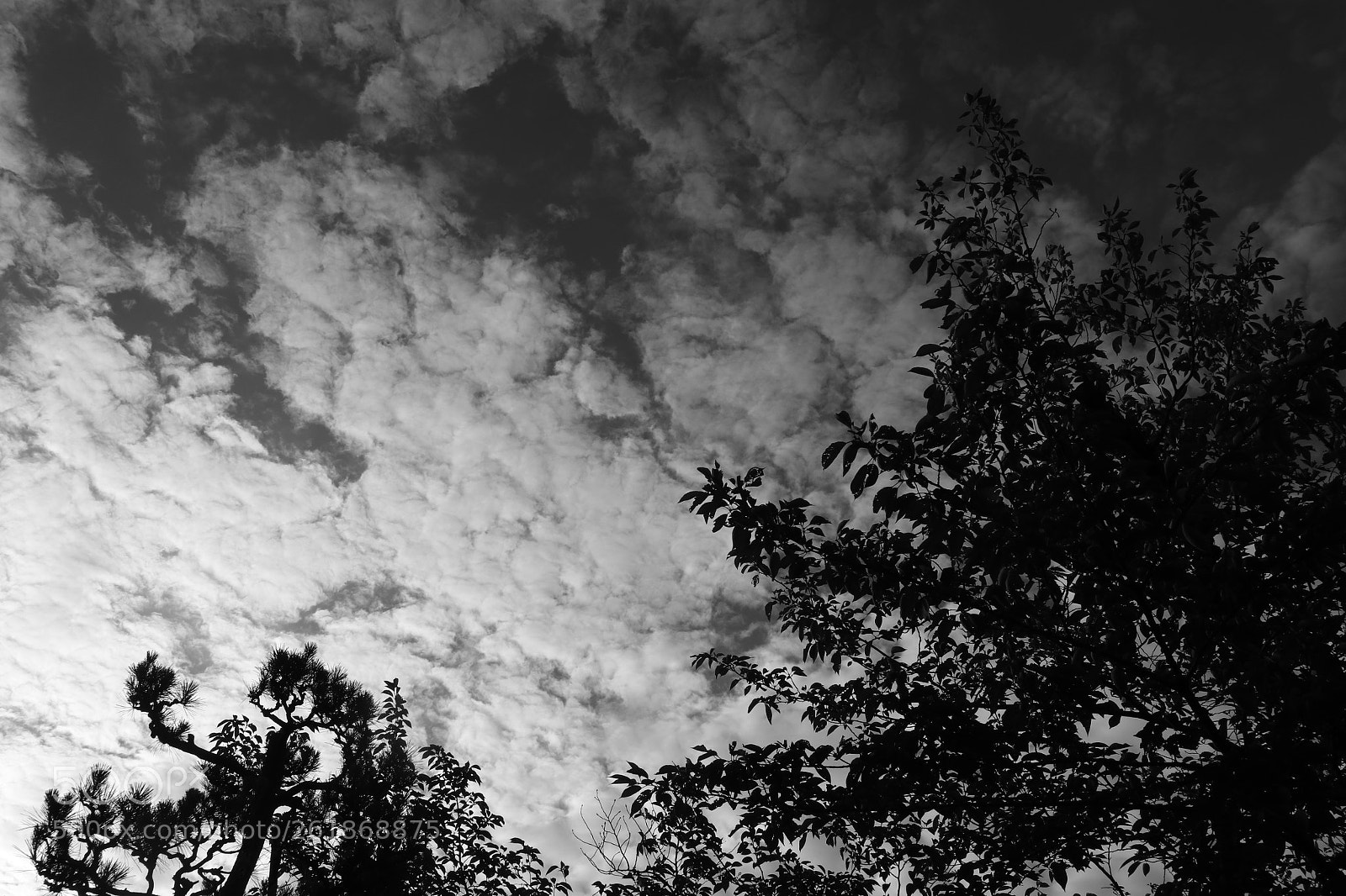 Canon EOS M6 sample photo. Last morning sky photography