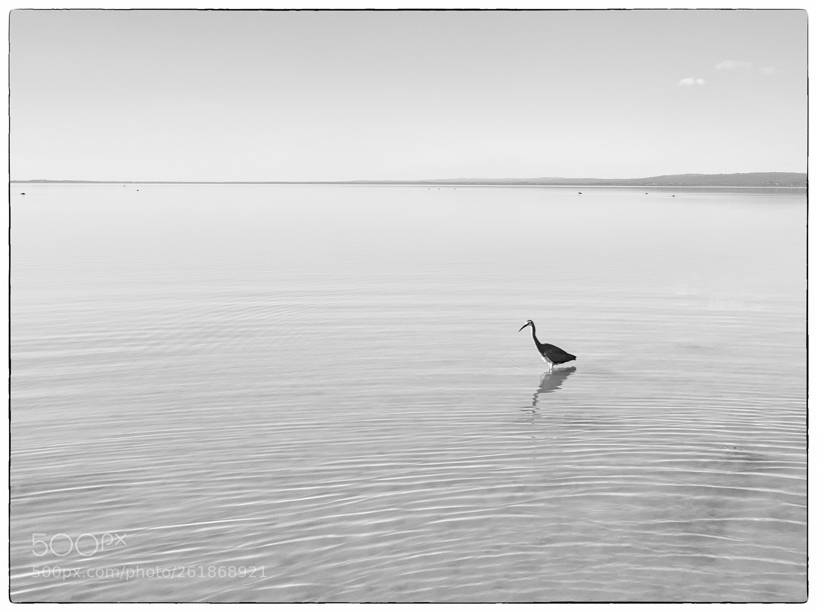 DJI FC6310 sample photo. Solitude photography