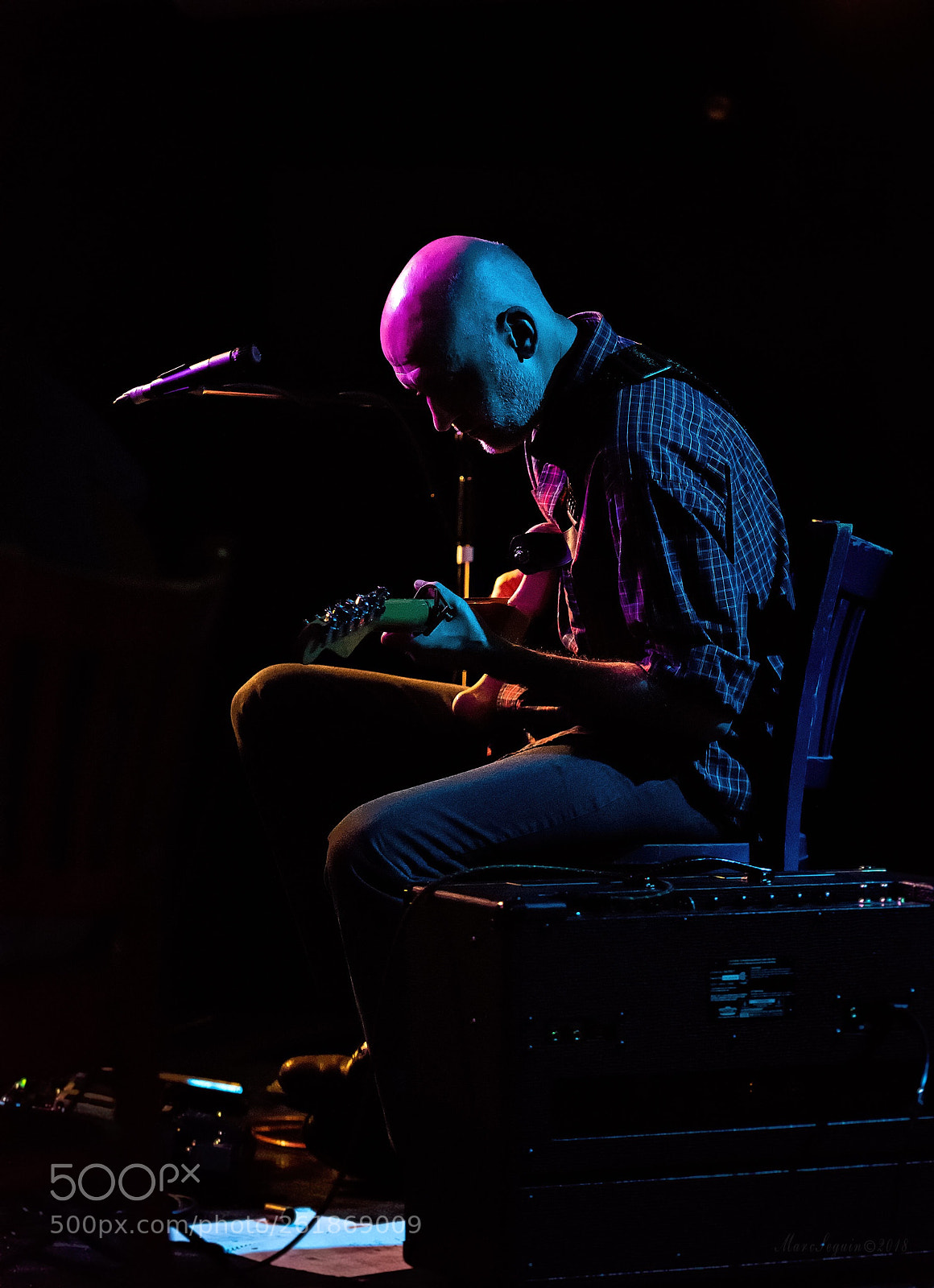 Nikon D810 sample photo. The trashcan sinatras photography