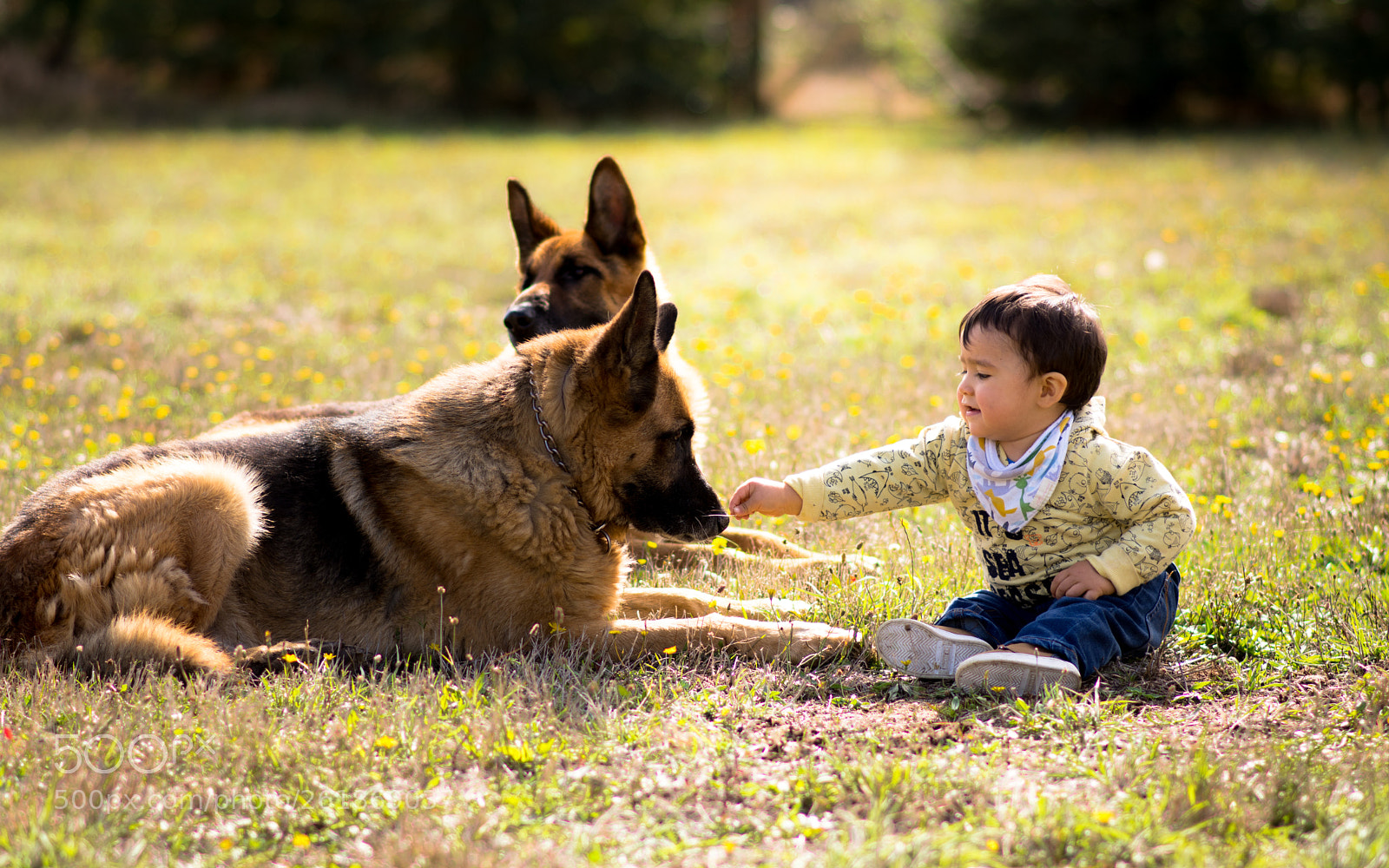 Nikon D7200 sample photo. A little boy with photography