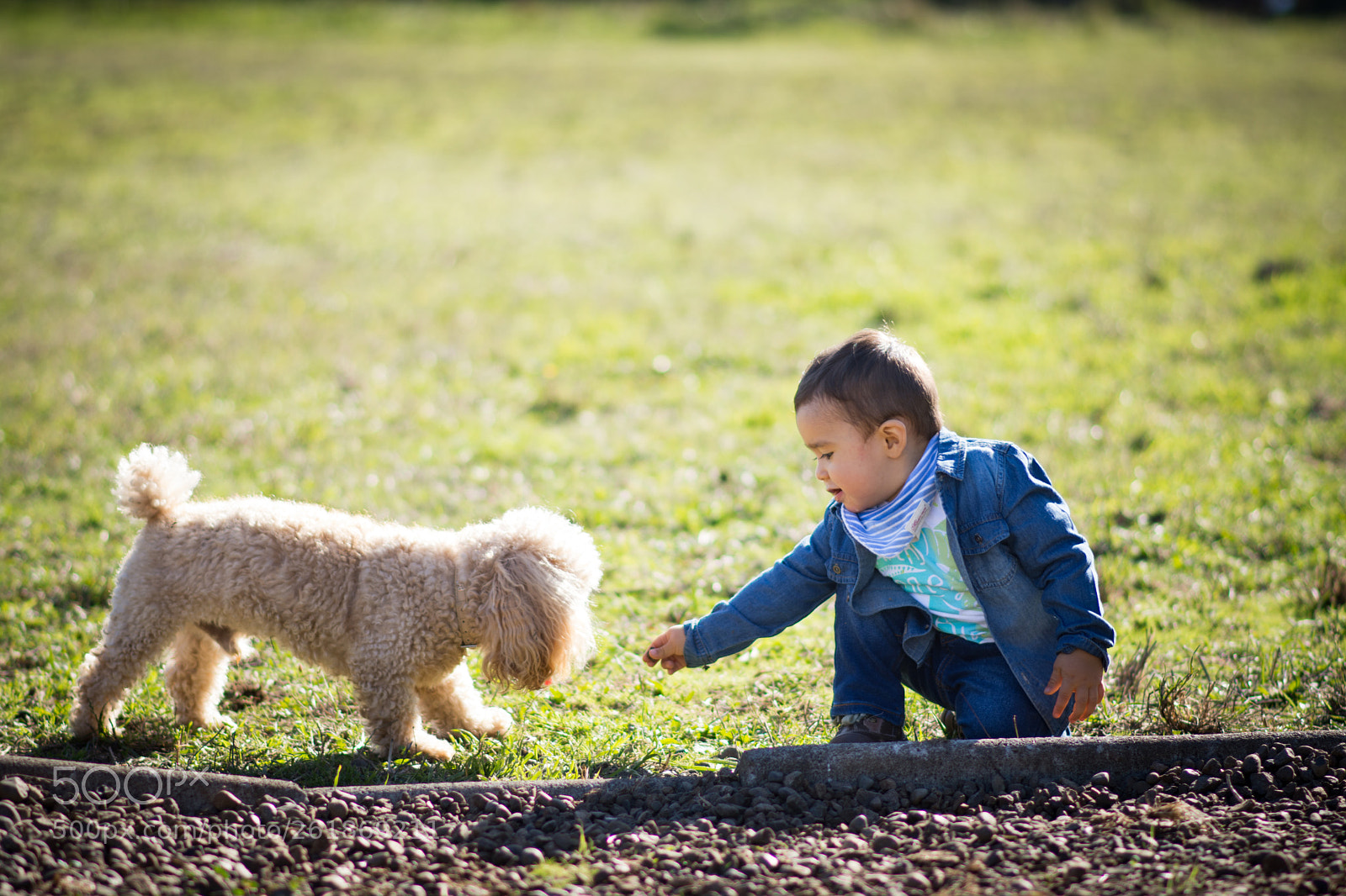 Nikon D7200 sample photo. A little boy with photography