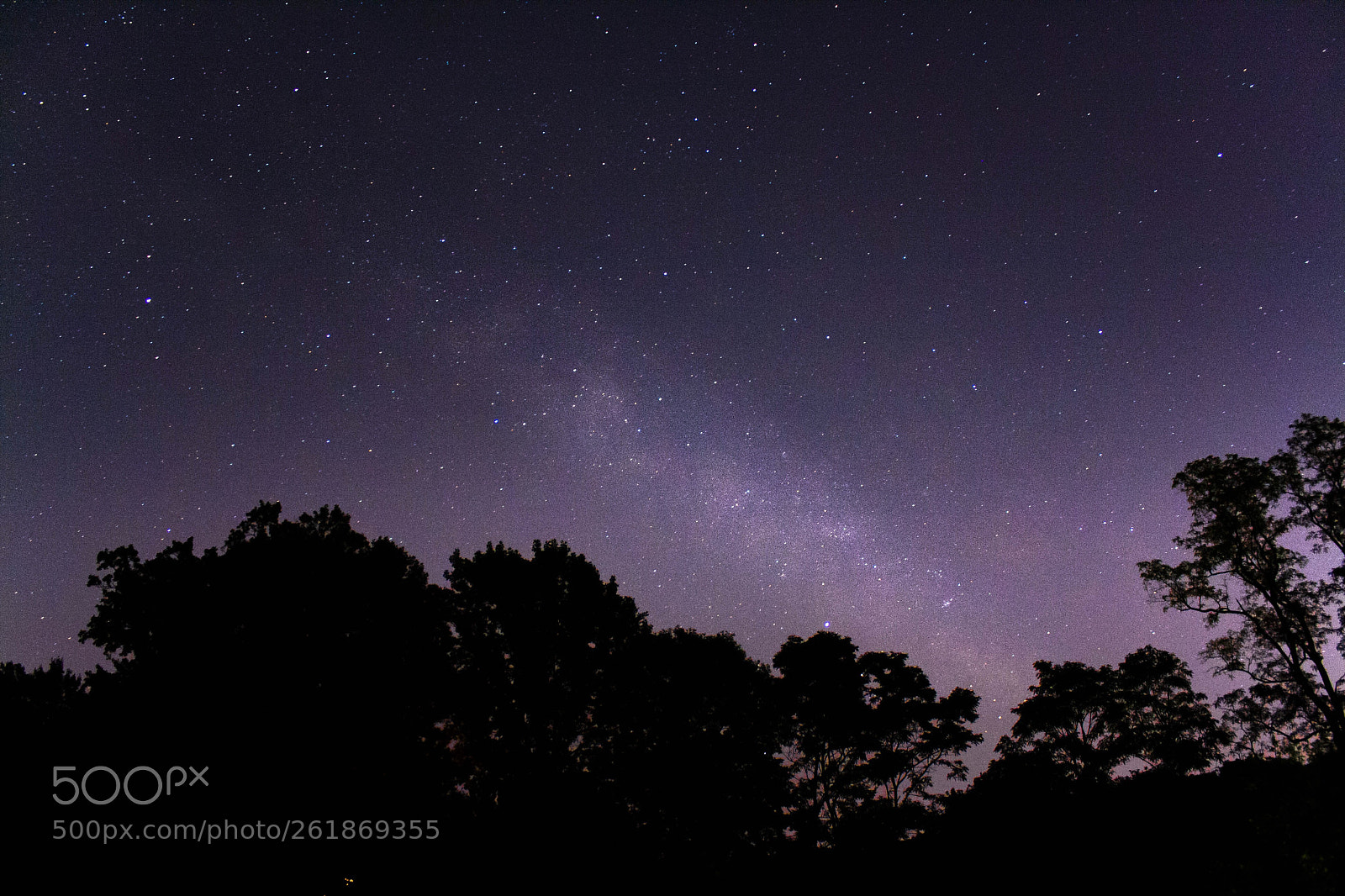 Canon EOS 1000D (EOS Digital Rebel XS / EOS Kiss F) sample photo. Milky way photography