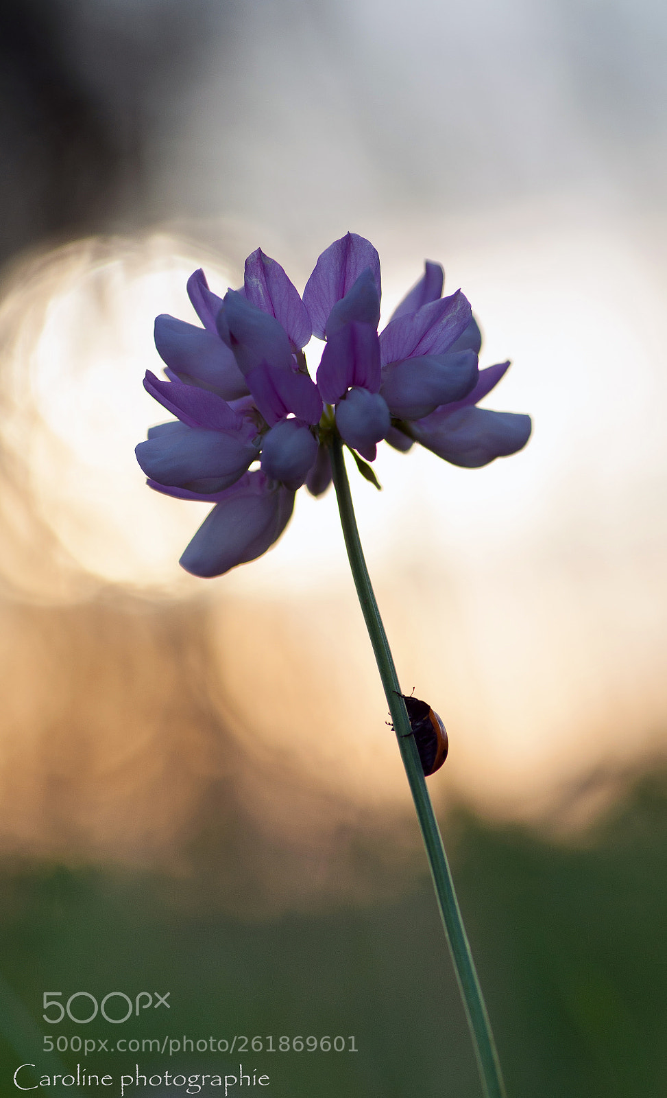 Nikon D90 sample photo. Entre ombre et lumi photography