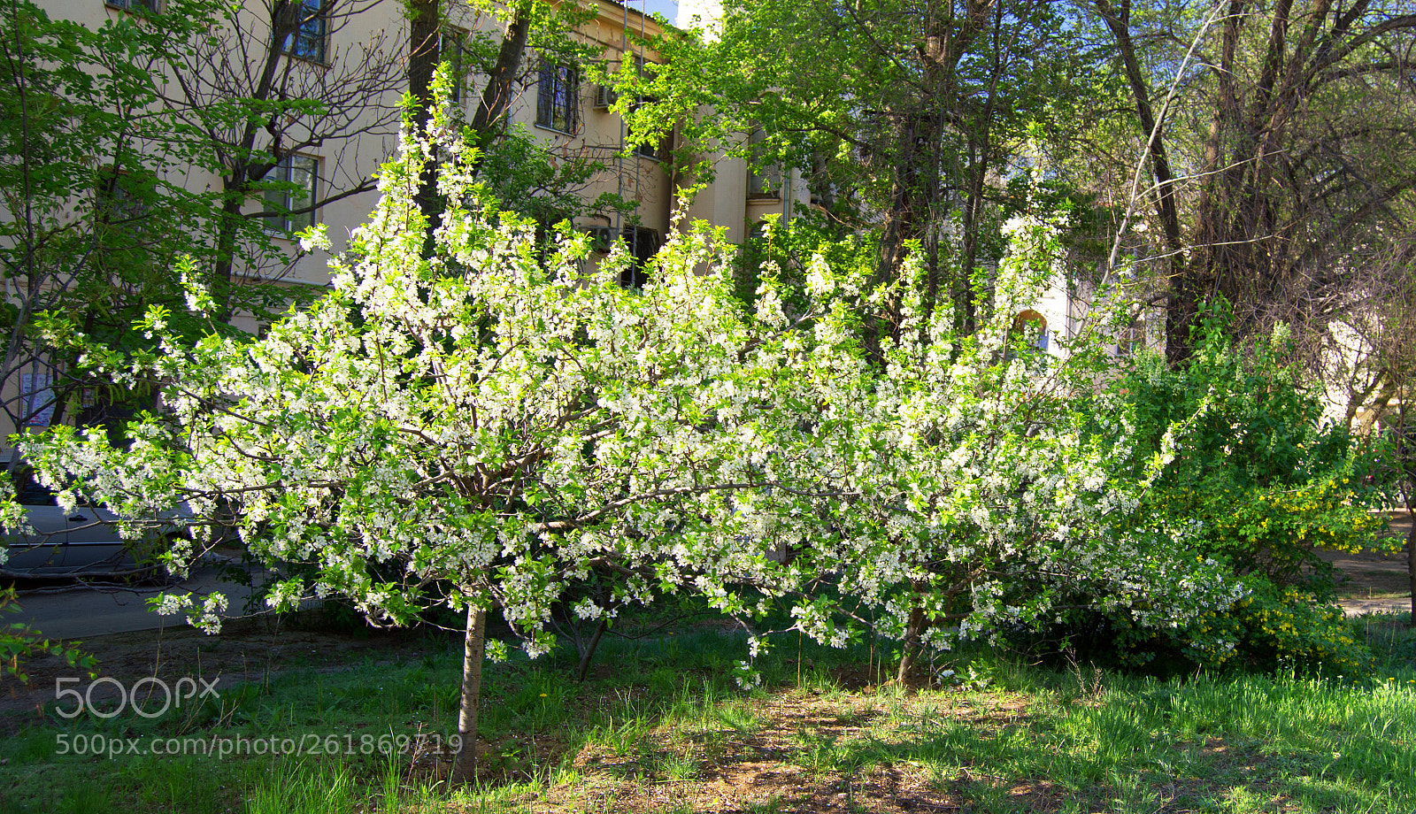 Nikon D3200 sample photo. ТЕРЕН photography