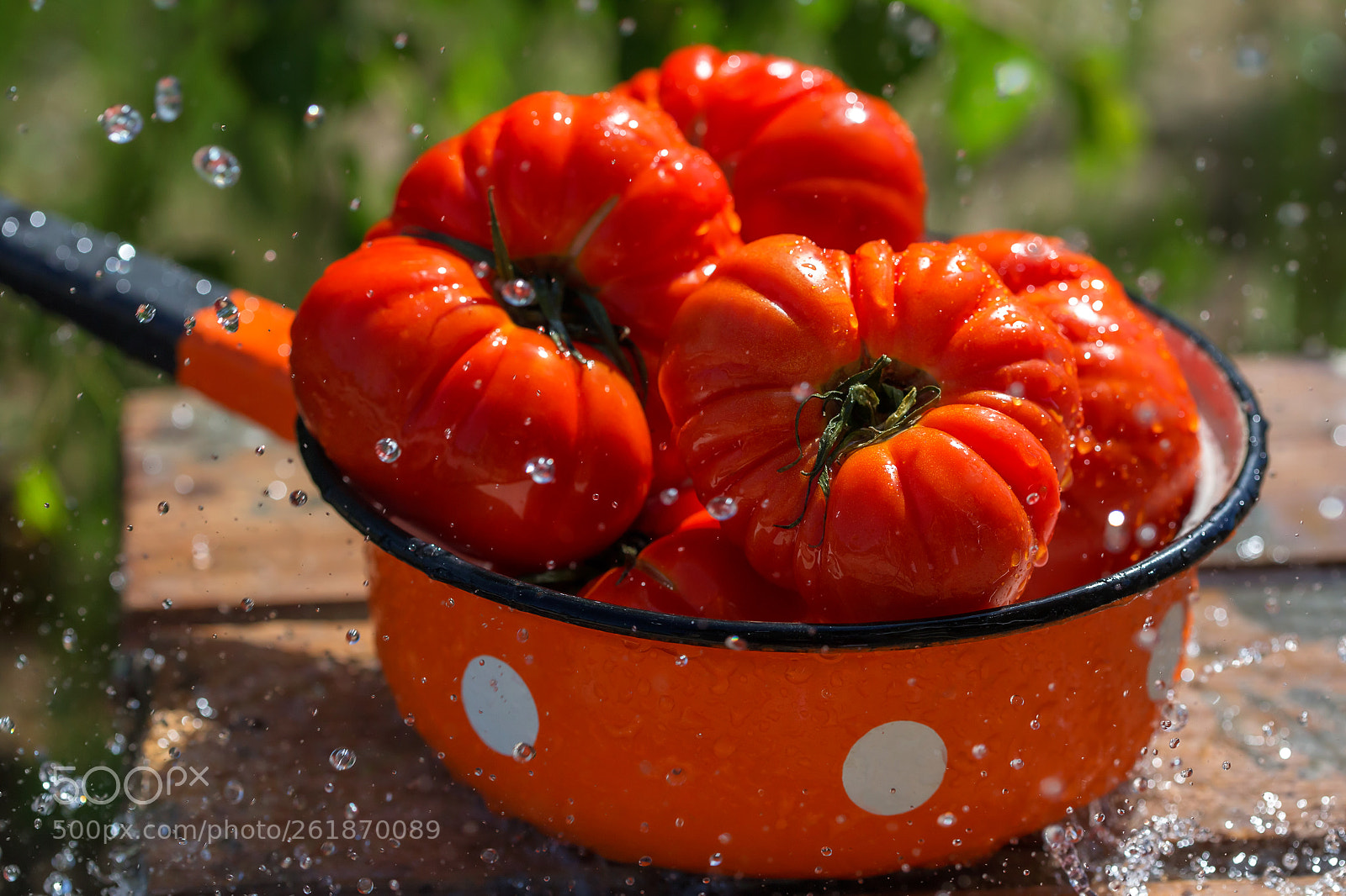 Canon EOS 6D sample photo. Tomatos photography