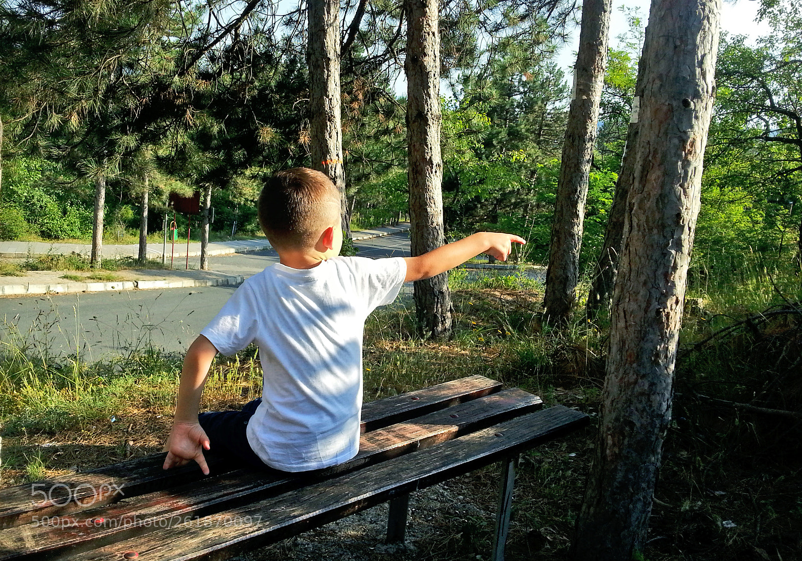 Samsung Galaxy Note2 sample photo. Arda & efe photography