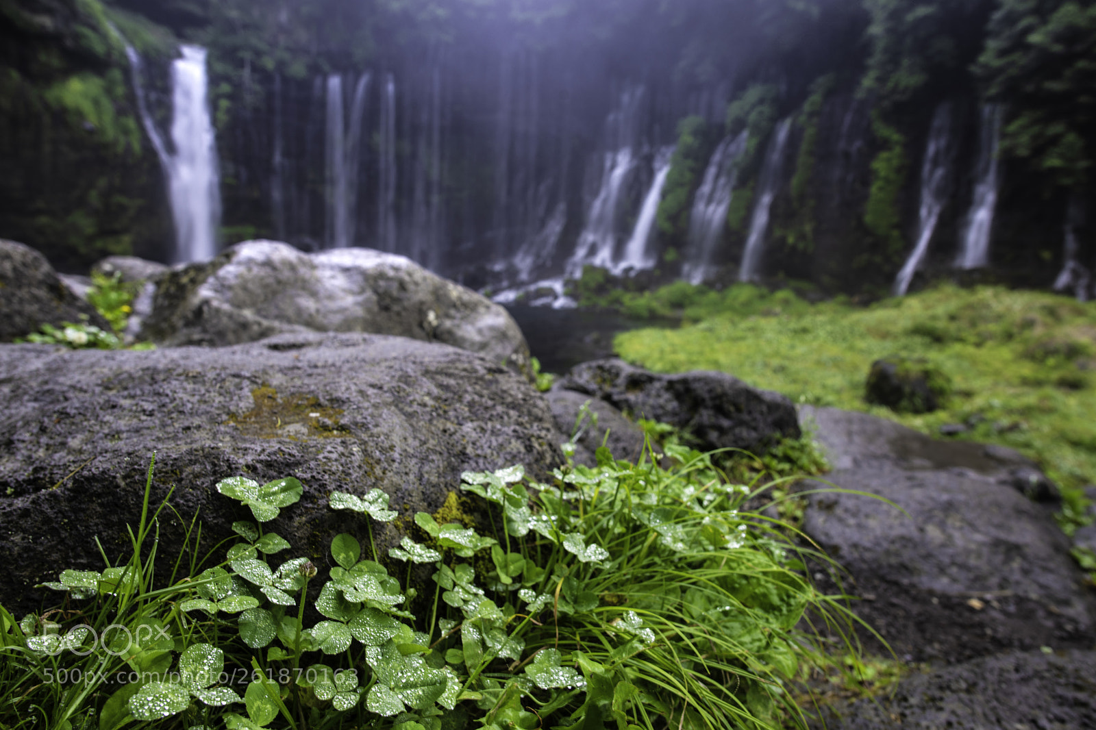 Nikon D850 sample photo. Shiraito waterfalls photography