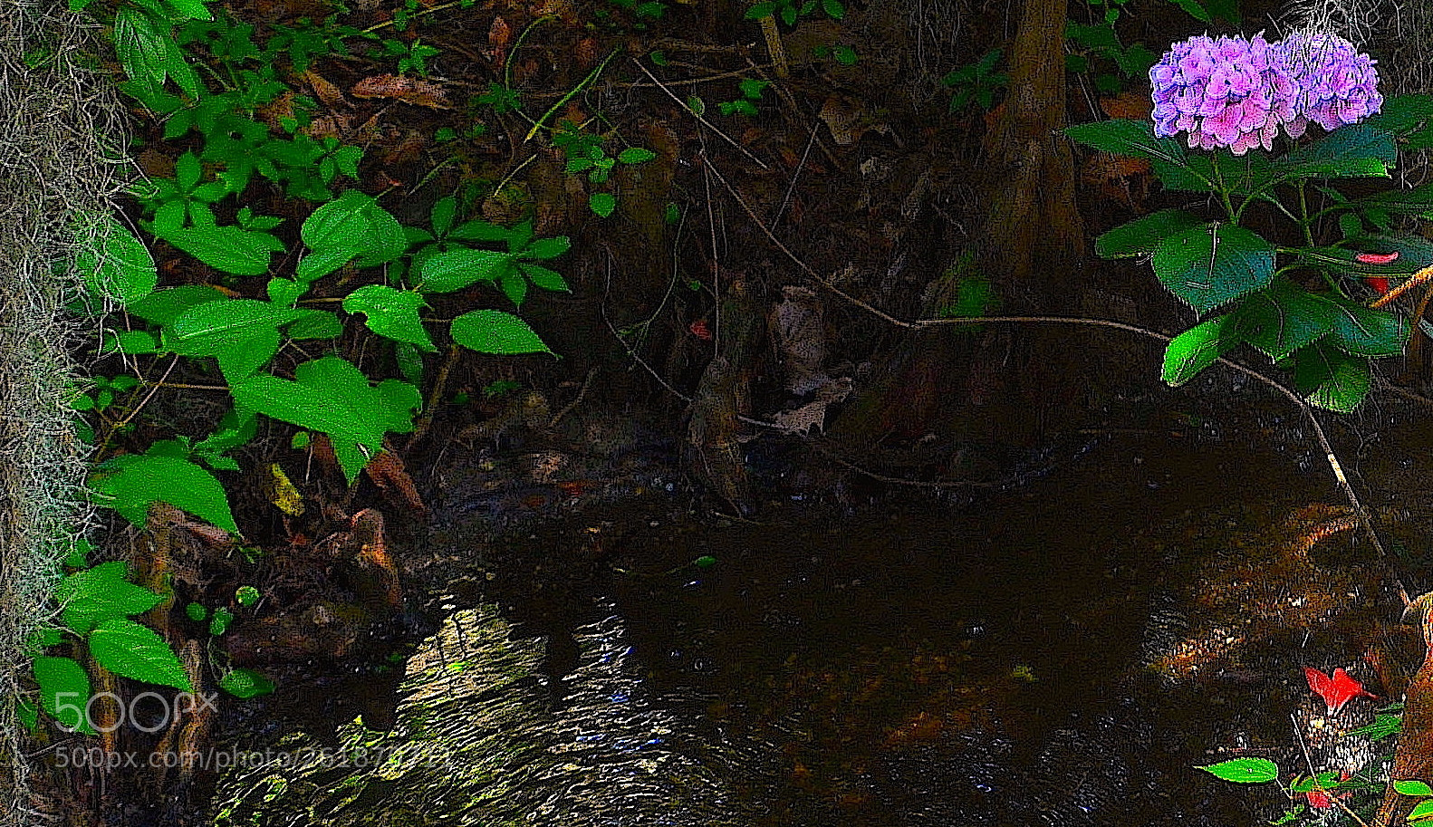 Nikon D5100 sample photo. Untitled photography