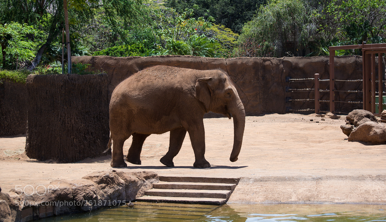 Nikon D610 sample photo. Zoo.original photography