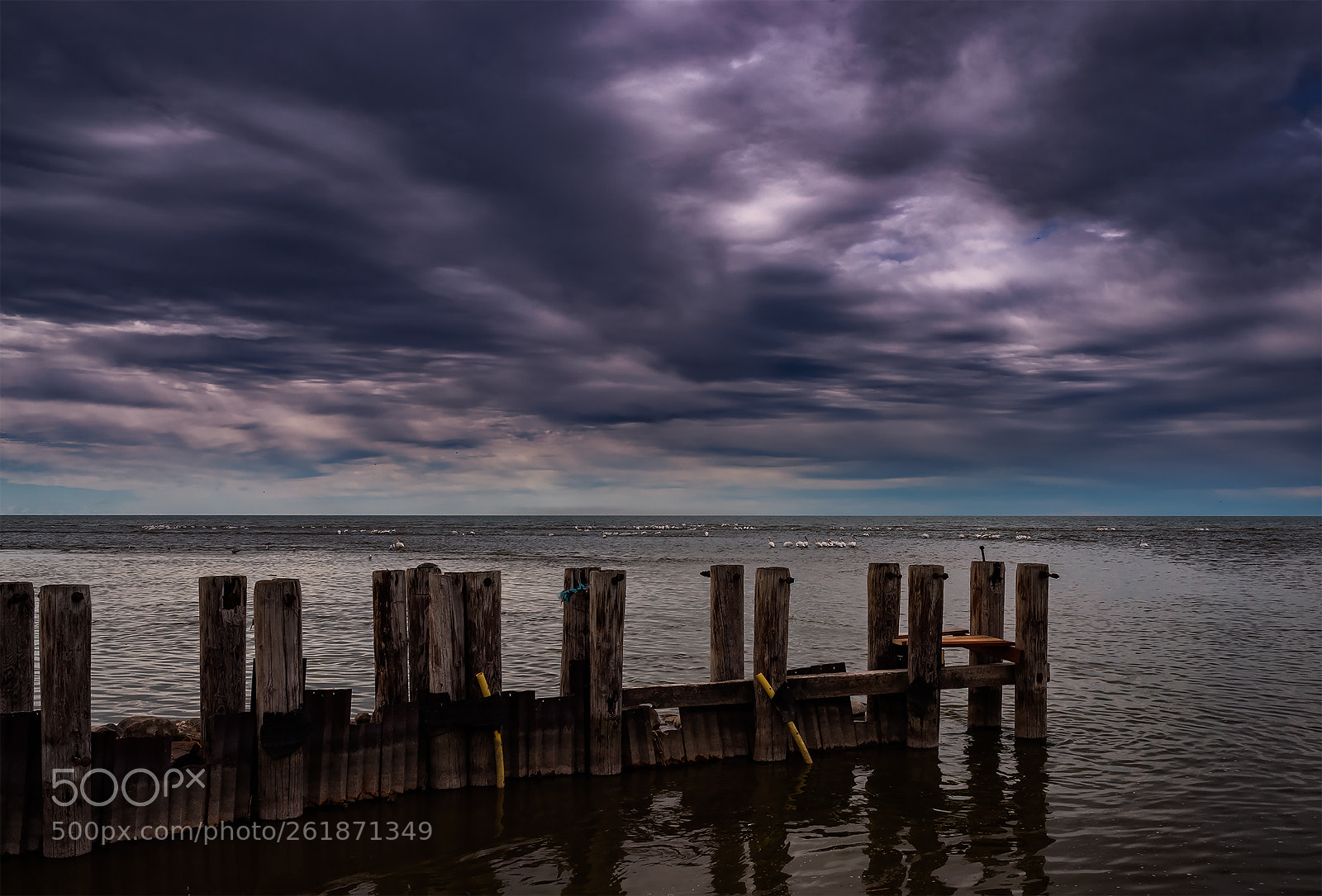 Nikon D600 sample photo. After the storm photography