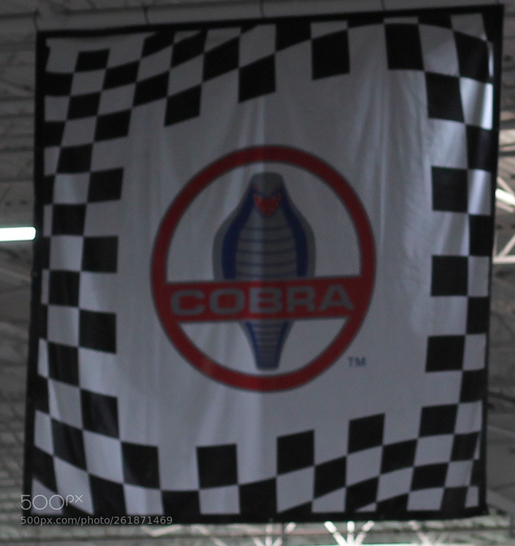 Canon EOS 1100D (EOS Rebel T3 / EOS Kiss X50) sample photo. () photography