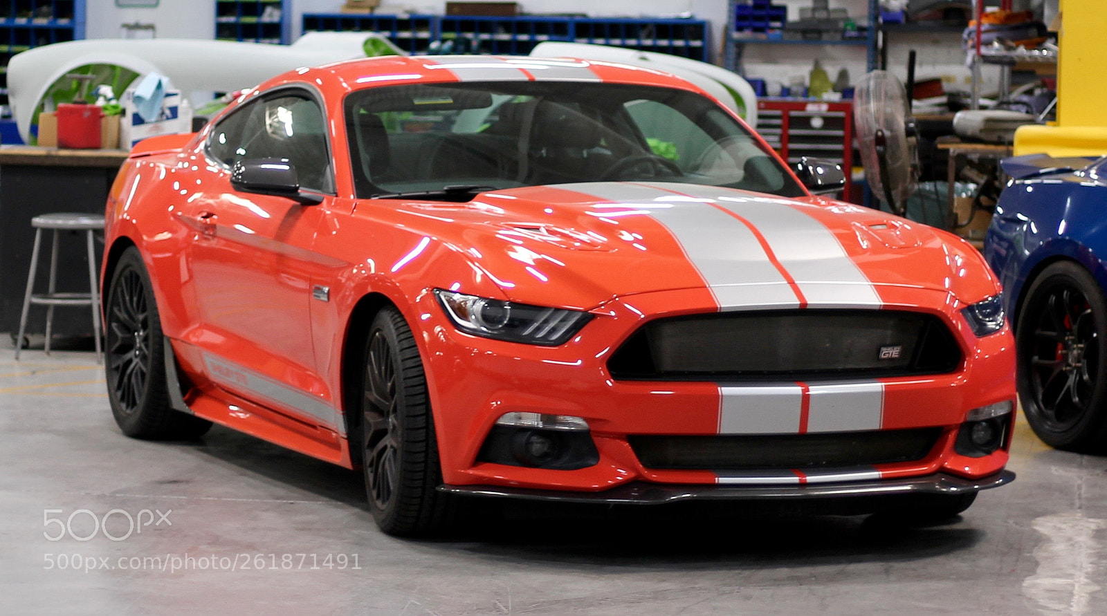 Canon EOS 1100D (EOS Rebel T3 / EOS Kiss X50) sample photo. Mustang photography