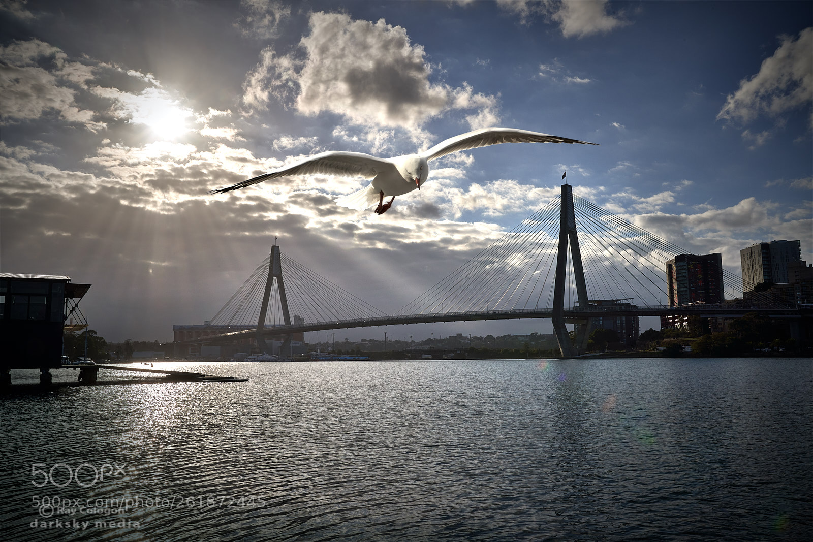 Sony a7R III sample photo. Anzac flyover photography