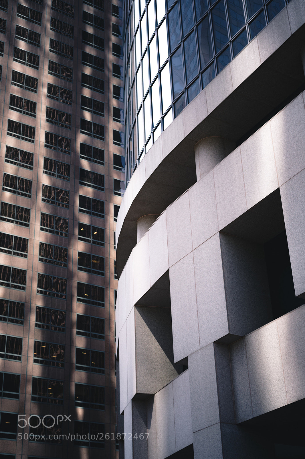 Nikon D750 sample photo. Untitled photography