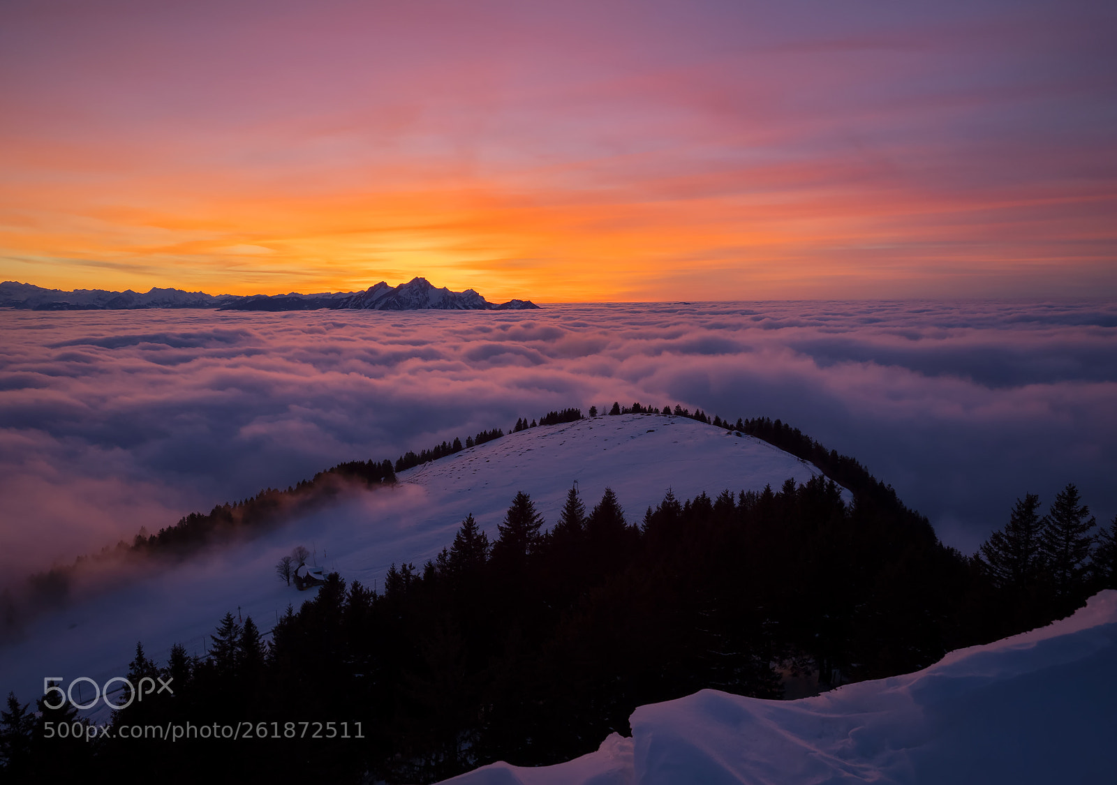 Olympus OM-D E-M1 Mark II sample photo. Evening at rigi photography