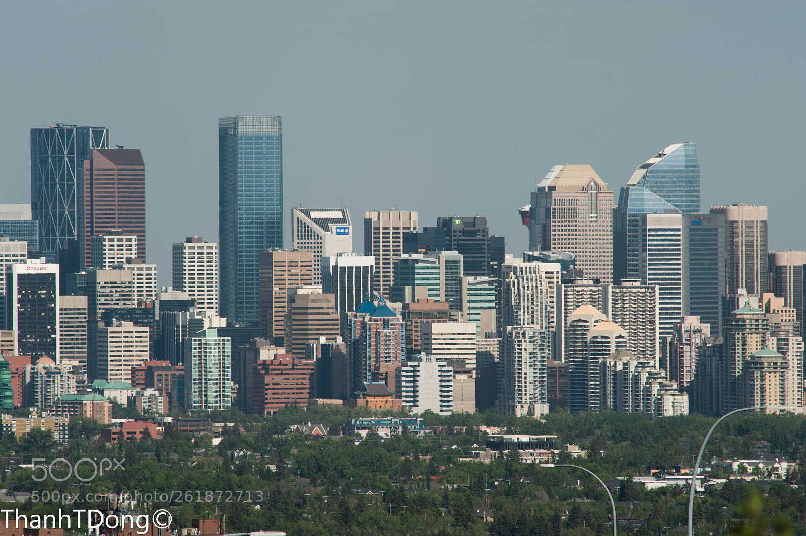 Nikon D700 sample photo. 300 mm photography