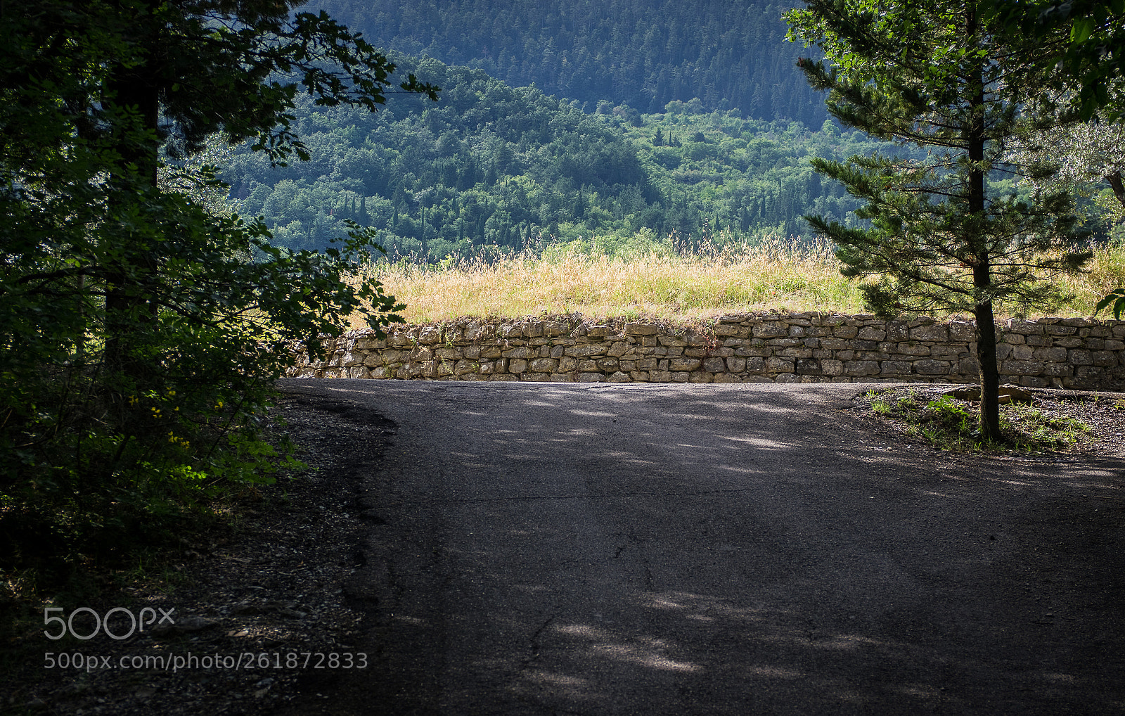 Pentax K-3 sample photo. Back to the roots photography
