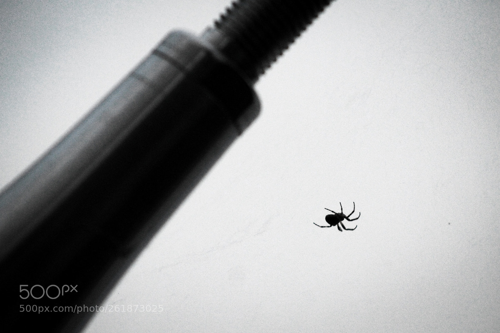 Canon EOS 1100D (EOS Rebel T3 / EOS Kiss X50) sample photo. Cogs and cobwebs photography