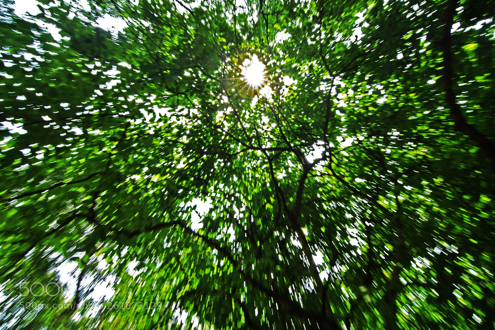 Nikon D7200 sample photo. .... sun trails .............. photography