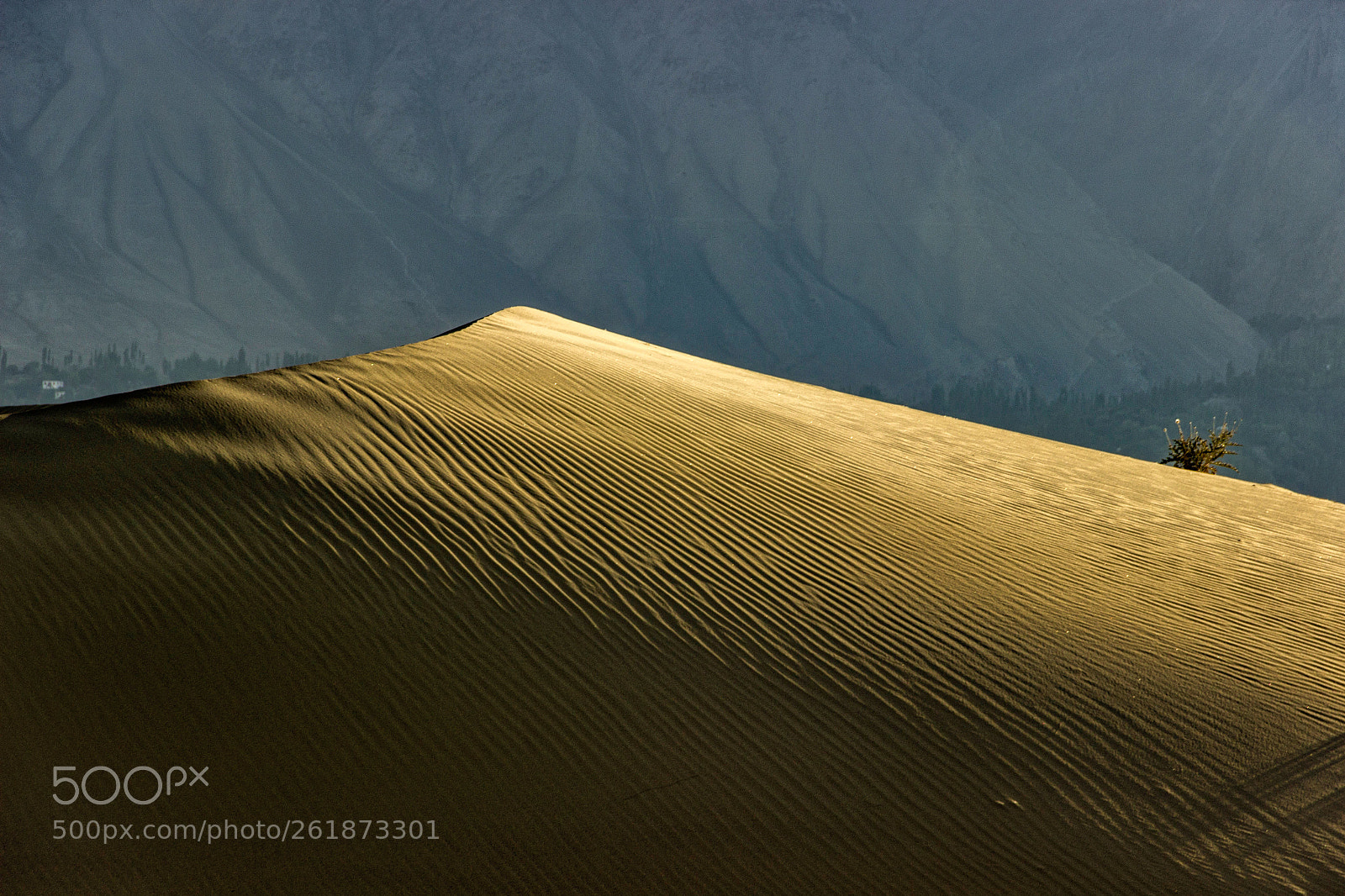 Canon EOS 600D (Rebel EOS T3i / EOS Kiss X5) sample photo. Dunes photography