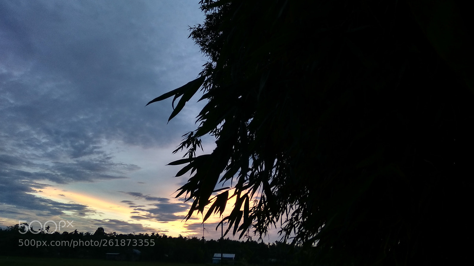 Xiaomi Redmi 5A sample photo. Untitled photography