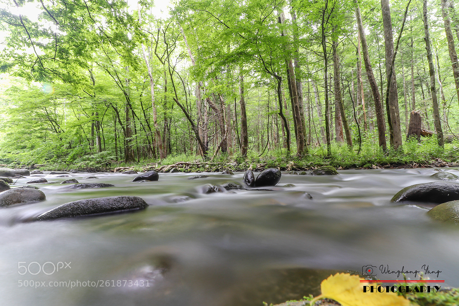 Canon EOS 800D (EOS Rebel T7i / EOS Kiss X9i) sample photo. Gatlinburg, tn photography