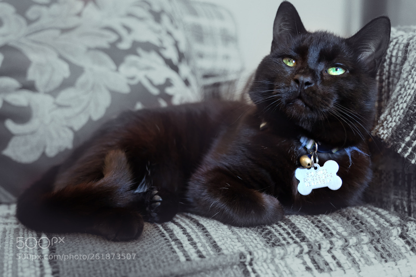 Fujifilm X-T20 sample photo. Solstice photography