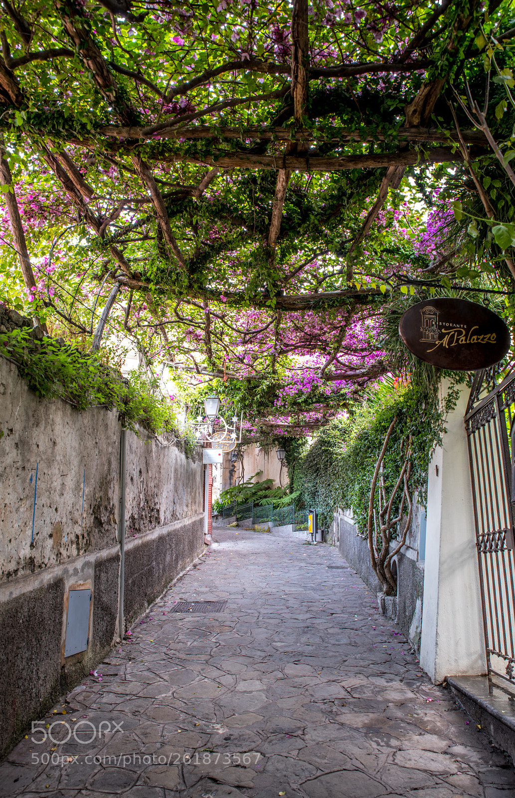 Nikon D810 sample photo. Positano walkway photography