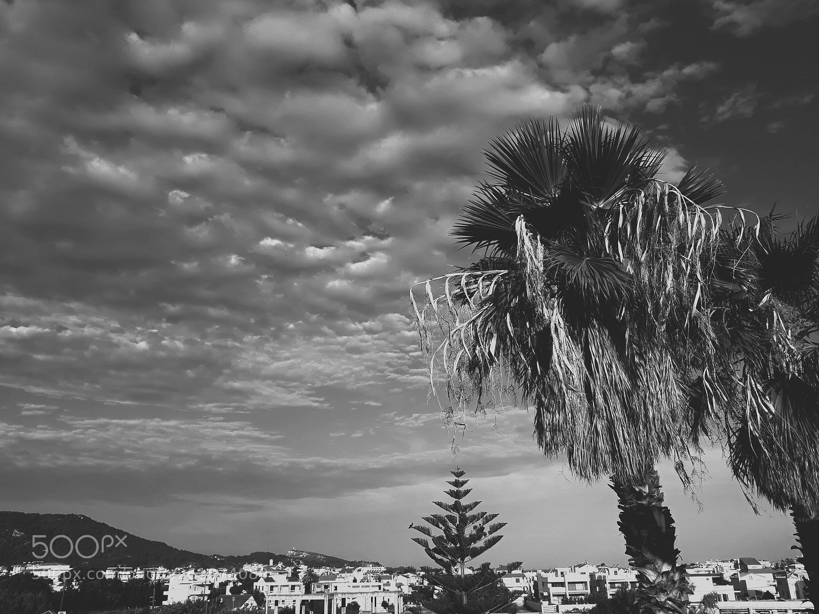 Samsung Galaxy J5 sample photo. Ialysos photography