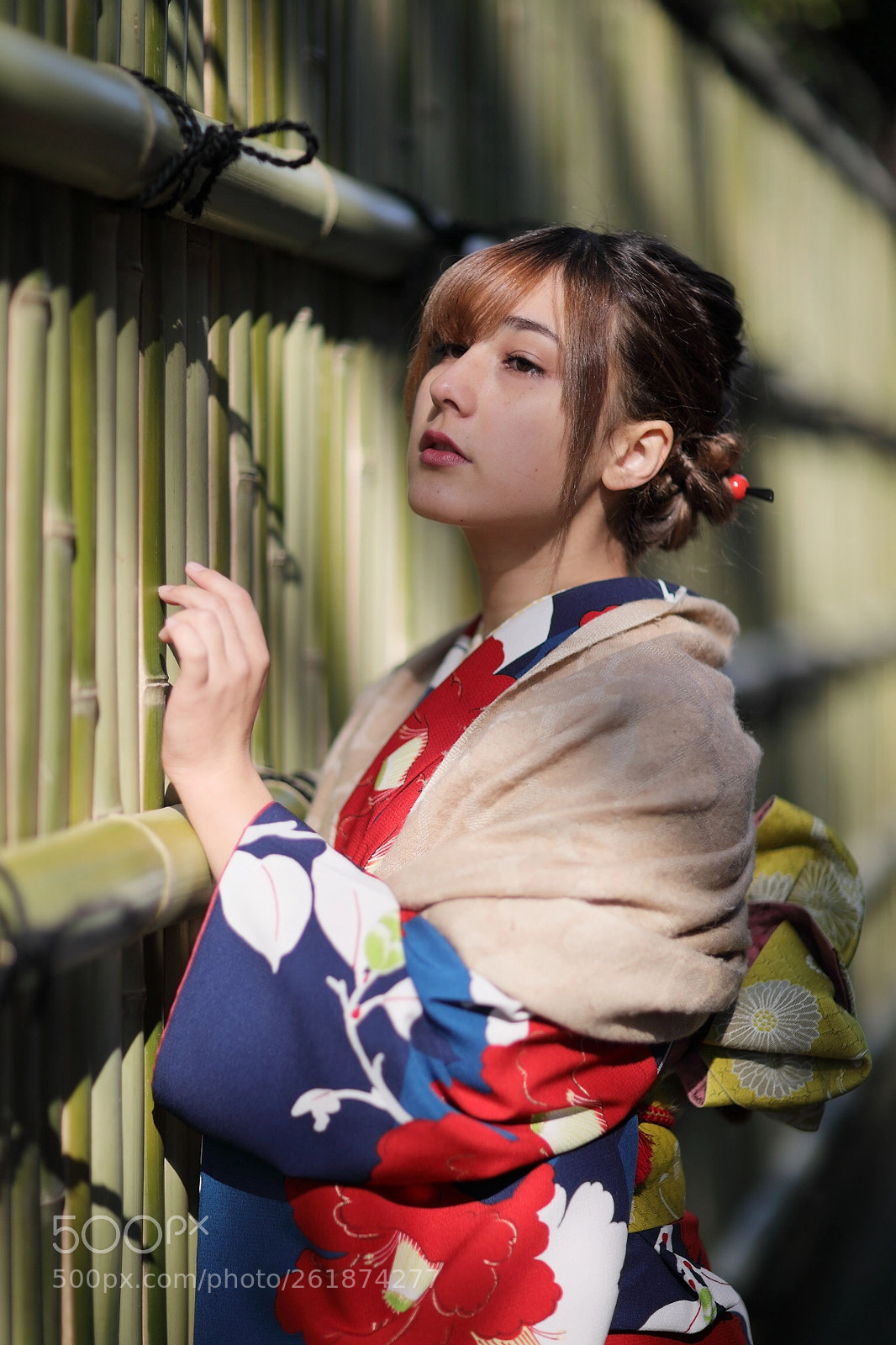 Canon EOS 5D Mark IV sample photo. ねこさん photography
